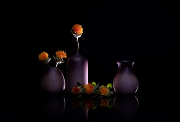 Natureza-morta com flores cor de laranja