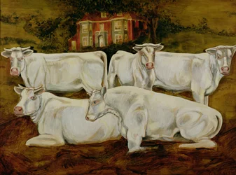 Touros Charolês, Dippenhall, Farnham