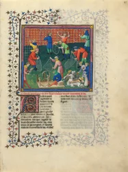 Livro de caça