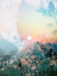 Perfil da Serene Nature