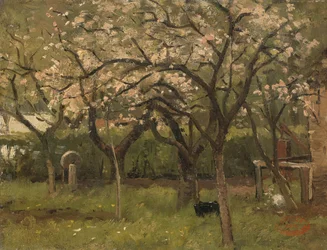 Árvore em flor num pomar
