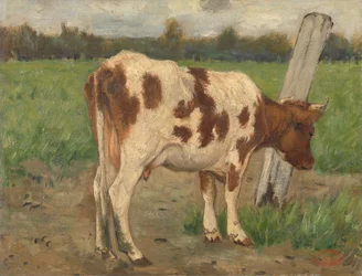 Vaca