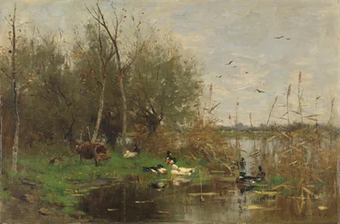Patos ao lado de um abrigo de patos numa vala