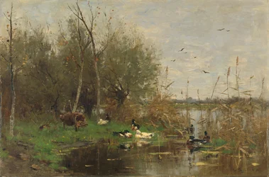 Patos junto a um abrigo de patos numa vala