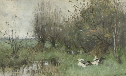 Patos perto de um salgueiro