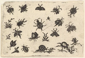 Pequenos Motivos de Insetos e Plantas, 1596.