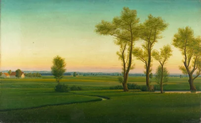 Paisagem de charneca