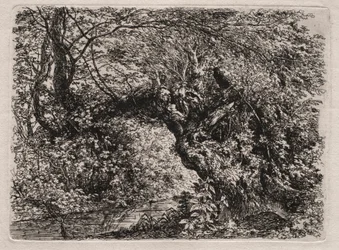 The Old Willow at a Brook, 1794.