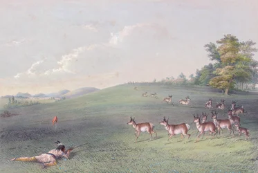 Portfólio Índio Norte-Americano de George Catlin