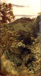 The Glen, Naworth, Cumbria (óleo sobre painel)