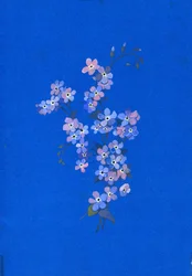 Esqueça-me-not, década de 1960 (guache no cartão colorido)