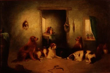 Os cães de cozinha