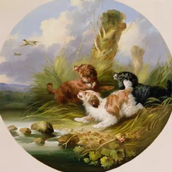 Três Spaniels Flushing Mallard (óleo sobre tela)