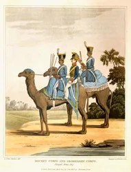 Corpo de foguete e corpo de dromedários, exército de Bengala 1817, de &39;Jornal de uma rota em toda a Índia e através do Egito&39;, gravado por R. Havell e filho, pub. por John Murray, 1819