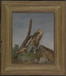 Estudo de Rochas e Ramos, c.1795 (óleo sobre papel)
