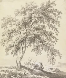 Estudo das Árvores com Estágio (Paisagem)
