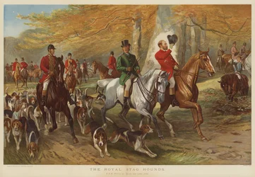 O Royal Stag Hounds, HRH Príncipe de Gales e Lord Cork