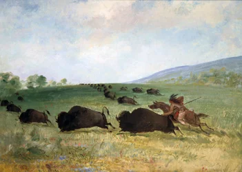 Um índio Osage lançando um búfalo, 1846-1848.