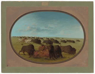 Buffalo Chase, com acidentes
