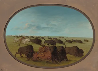 Buffalo Chase, com Acidentes, 18611869.