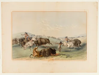 Buffalo Hunt, perseguição n.º 7