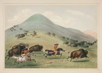 Buffalo Hunt, Chase, pl. 6 do North American Indian Portfolio