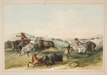 Buffalo Hunt, Chase, pl. 7 da carteira indígena norte-americana