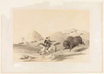 Buffalo Hunt Chasing Back nº. 12