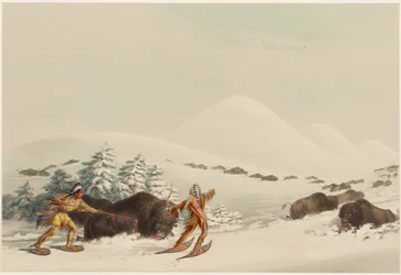 Caça ao bisonte com raquetes de neve