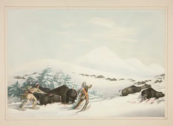 Buffalo Hunt, On Snow Shoes, pl. 15 do North American Indian Portfolio