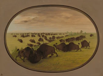 Luta de touros, 18611869.