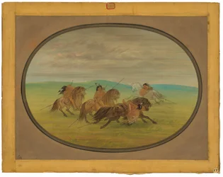 Equitação Comanche