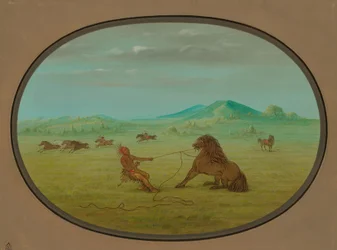Pegando Cavalos Selvagens - Pawnee, 18611869.