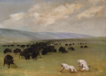 Catlin e o seu guia índio aproximando-se de bisontes sob peles de lobo branco