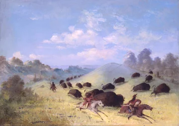 Índios comanches perseguindo bisontes com lanças e arcos, 1846-1848