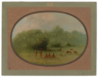 Índios e cavalos na floresta