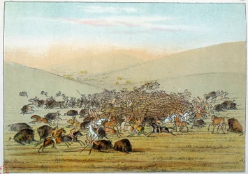 Índios da América: miniatarees indígenas caçando búfalos com lanças. Ilustração de George Catlin (1794-1872)