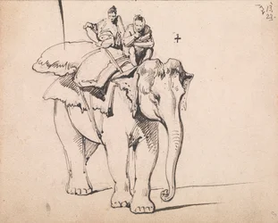 Um Elefante