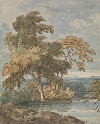 Árvores junto a um rio