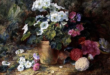 Uma Natureza Morta de Pelargoniums em Pote com Camélias