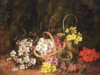 Flores de molas em cestos