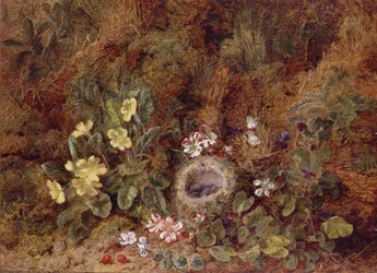 Natureza Morta com Ninho de Ave e Flores Selvagens