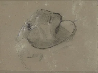 Cabeça de leão, presumivelmente depois de uma escultura