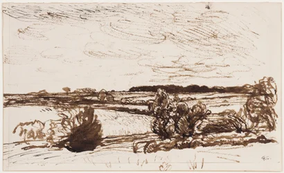 Paisagem windblown (caneta, pincel e tinta sépia no papel)
