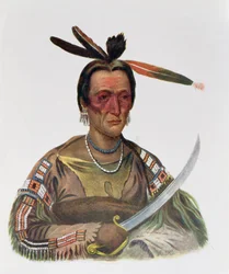 To-Ka-Cou, um chefe de Yankton Sioux, 1837, ilustração de &39;os tribos indígenas da América do Norte, Vol.1&39;, por Thomas L. McKenney e James Hall, pub. John Grant