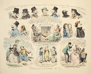 Folhas de tabaco n º 1, pub. 1851 (gravura colorida à mão)