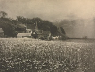 Trabalho de câmera: The Onion Field - 1890, 1890.