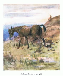 O cavalo solto (lito colorido)