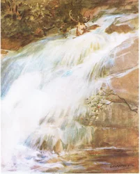 Jogando a cabeça para o alto em um último ato de desafio, ele mergulhou na cachoeira (lito colorido)