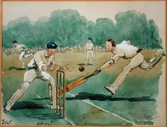 O Mês de Julho: Cricket (caneta e tinta e aguarela sobre papel)